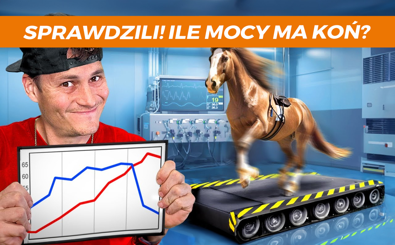 Ile koni mechanicznych ma koń? Zbudowali hamownię dla konia i zmierzyli jego moc!